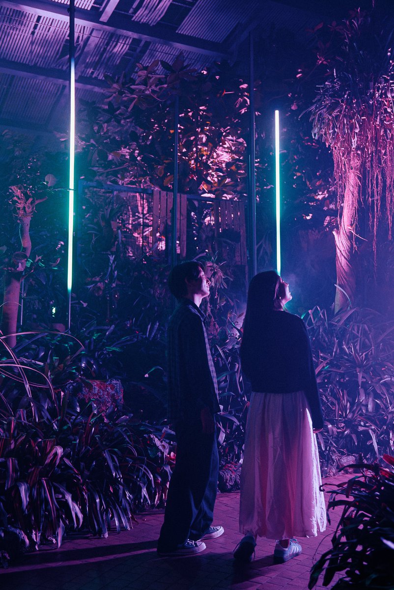 ／
#LIGHTCYCLESKYOTO
フォトスポットのご紹介📸
＼

最後のゾーンである『FOREST FREQUENCIES』は、熱帯・亜熱帯原産の野生種、及びそれらの交雑による園芸品種やトロピカル・フルーツとして有名なパイナップルを含むアナナス属が展示されているラン・アナナス室🍍