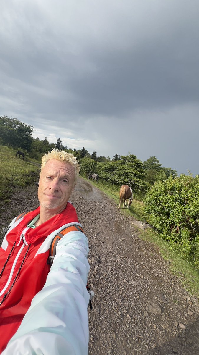 Hiking with wild ponies during a severe thunderstorm warning …. Yes that happened today … 12 of them got spooked and stampeded towards me - video will be posted later.