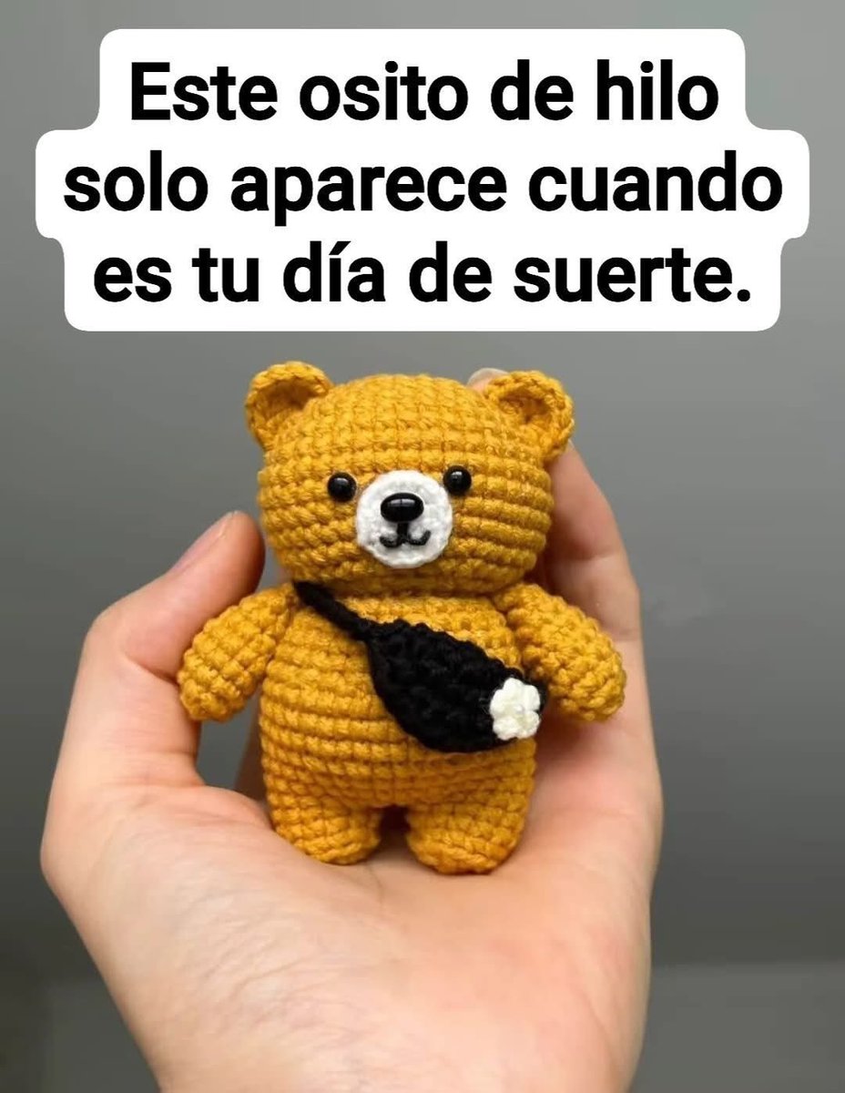 AlanSteveNC's tweet photo. Así como trates esta foto te irá en la vida ✨ https://t.co/2c7LxnX8iF