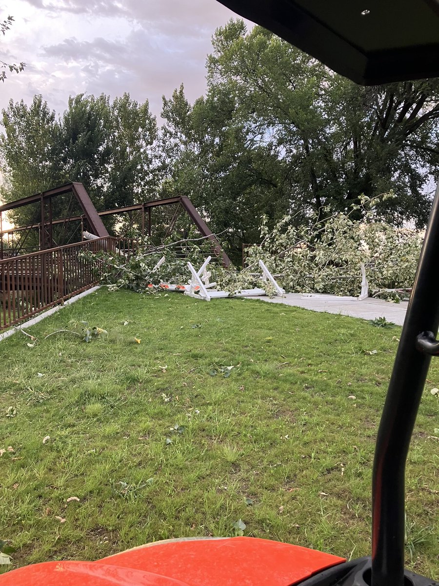 mayor_chadwick's tweet image. This wind storm was brutal. Please everyone stay safe. These trees are ones we lost at City Hall, The Star Riverhouse and Freedom Park. There are many others down all over town. If you have a neighbor who needs help with a down tree, do the Star Way and lend a hand. But…