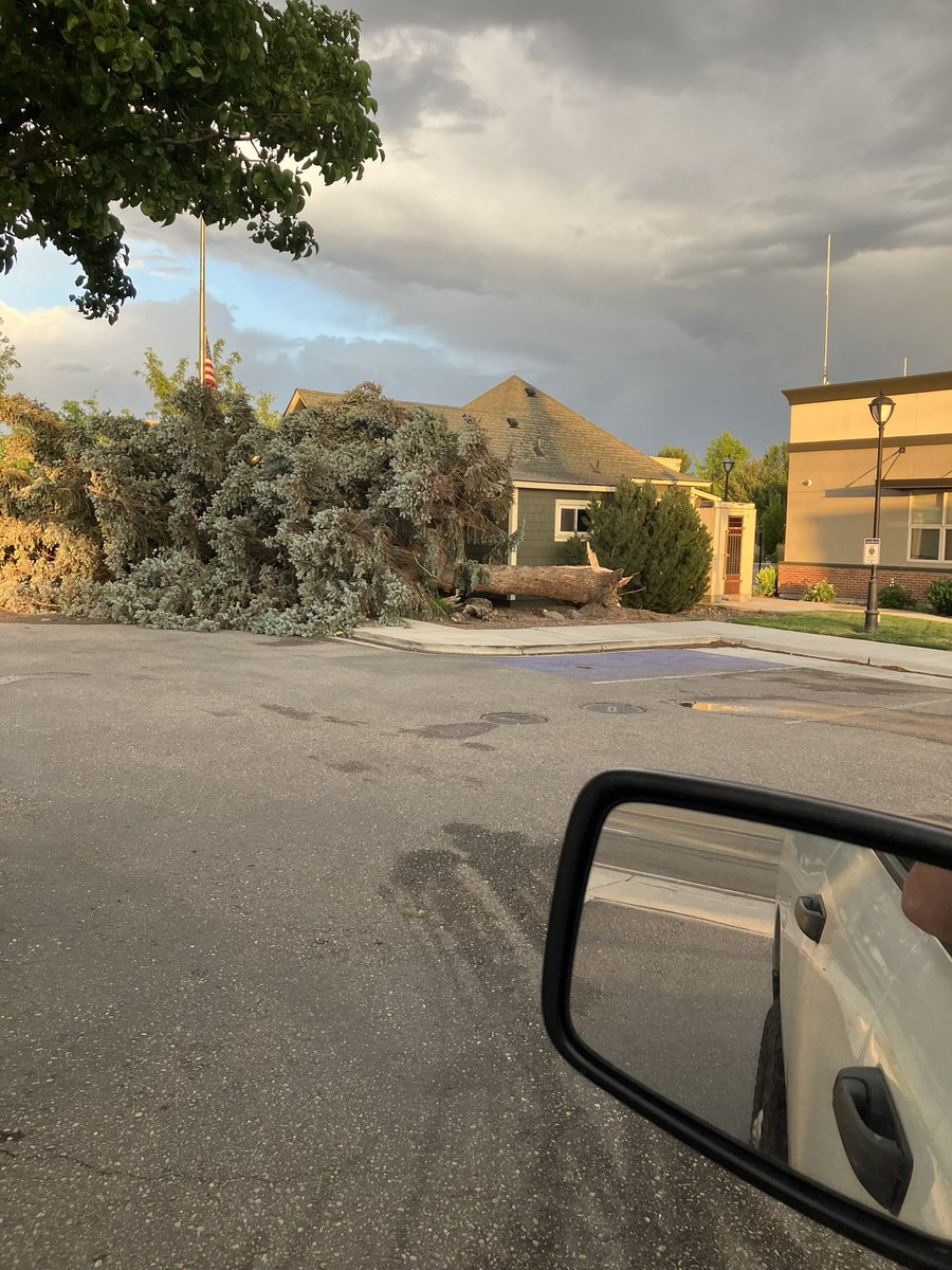 mayor_chadwick's tweet image. This wind storm was brutal. Please everyone stay safe. These trees are ones we lost at City Hall, The Star Riverhouse and Freedom Park. There are many others down all over town. If you have a neighbor who needs help with a down tree, do the Star Way and lend a hand. But…