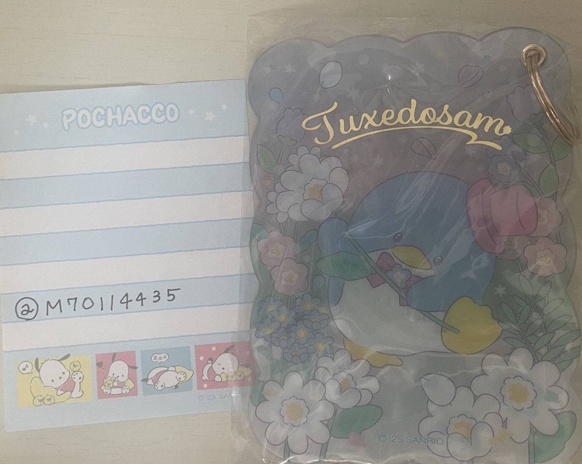 ぽちゃ🐶 tweet media