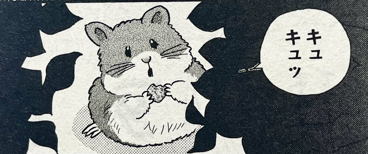 発売中のプチコミックの付録にハムスターの寅次郎がまた登場しております…🐹人間の恋も進展が(あるはず　よろしくお願いします！