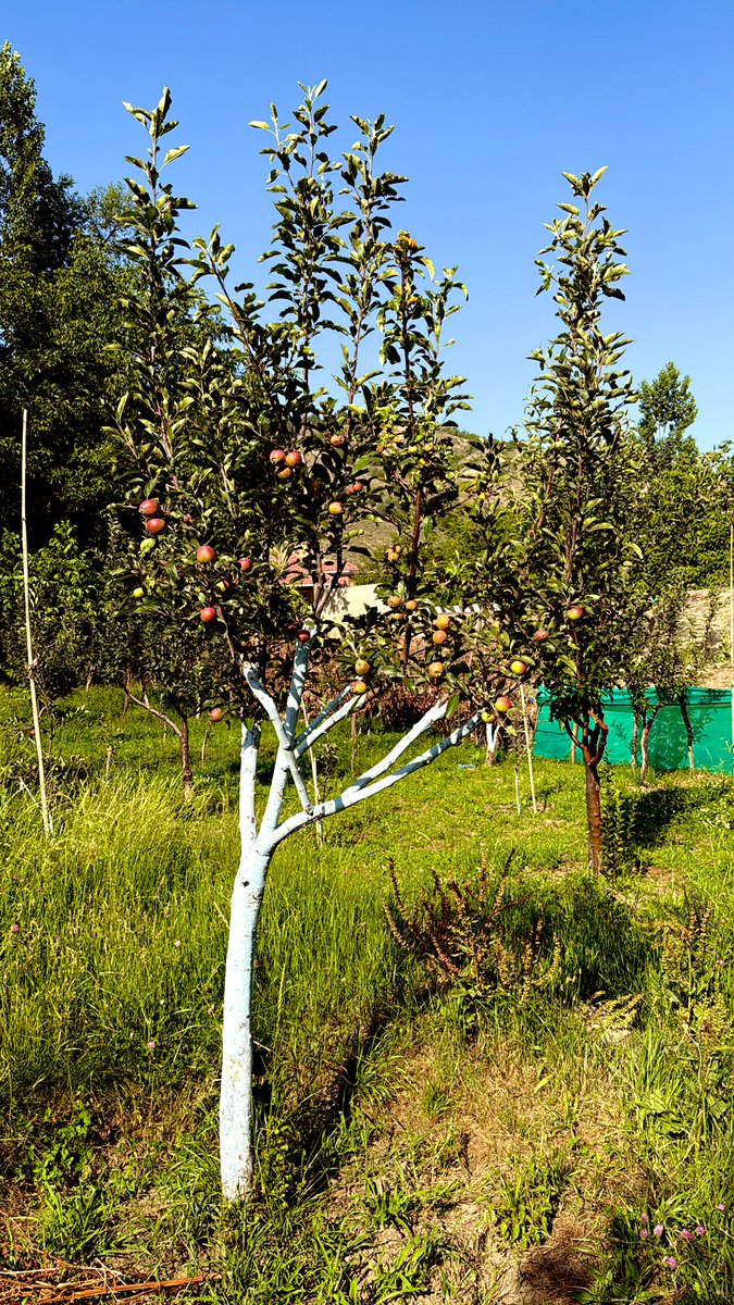 Good Morning X Family😍