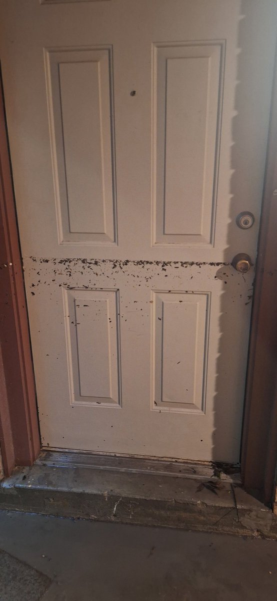 nemma929's tweet photo. @Apple hey so my apartment flooded in the Kerrville, TX 4th of July flood…any chance I could get a new laptop cause ya girls is gone. https://t.co/vKa2ozlks4