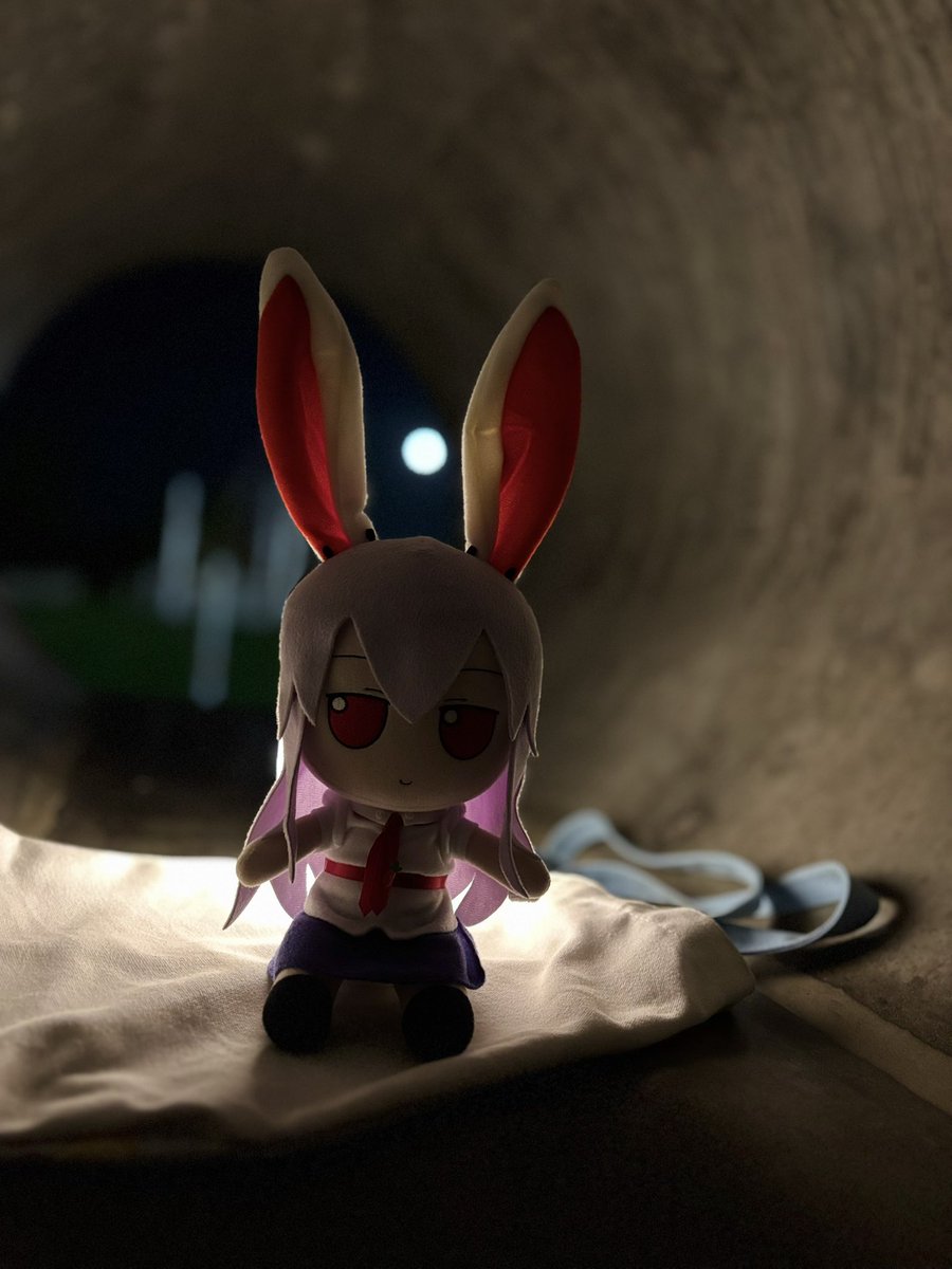 tupbunny's tweet photo. Fifteen nights ago, we had a new moon! Fifteen nights later, we have our full moon of the month 🌕🐇! Fumodonge alone looked up at the moon tonight, is it perhaps to reminisce? 🐰
.
.
#東方Project #ふもふも #東方Project #ふもふも #fumo #touhou #bnuuy #udonge https://t.co/fLztQ1mqXB