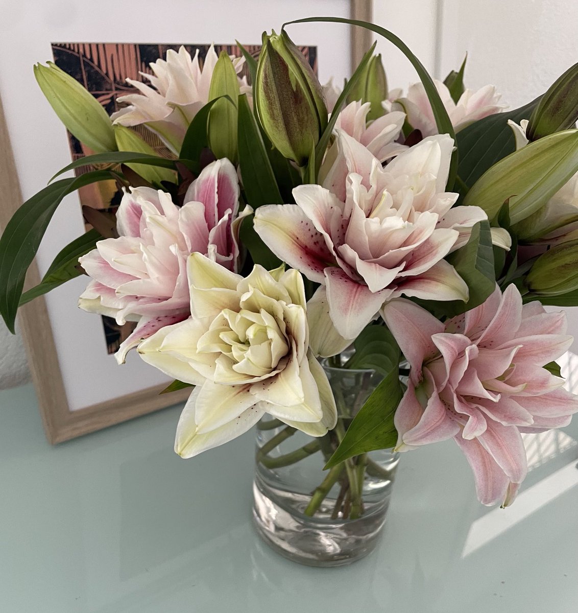 TomilkinaDesign's tweet image. Fresh lilies in my studio #lilies #printmaking #printmakingstudio #studio #myworkspace #linocutprintmaking #linoprint #floralprint #linocutart #floralart #womensart