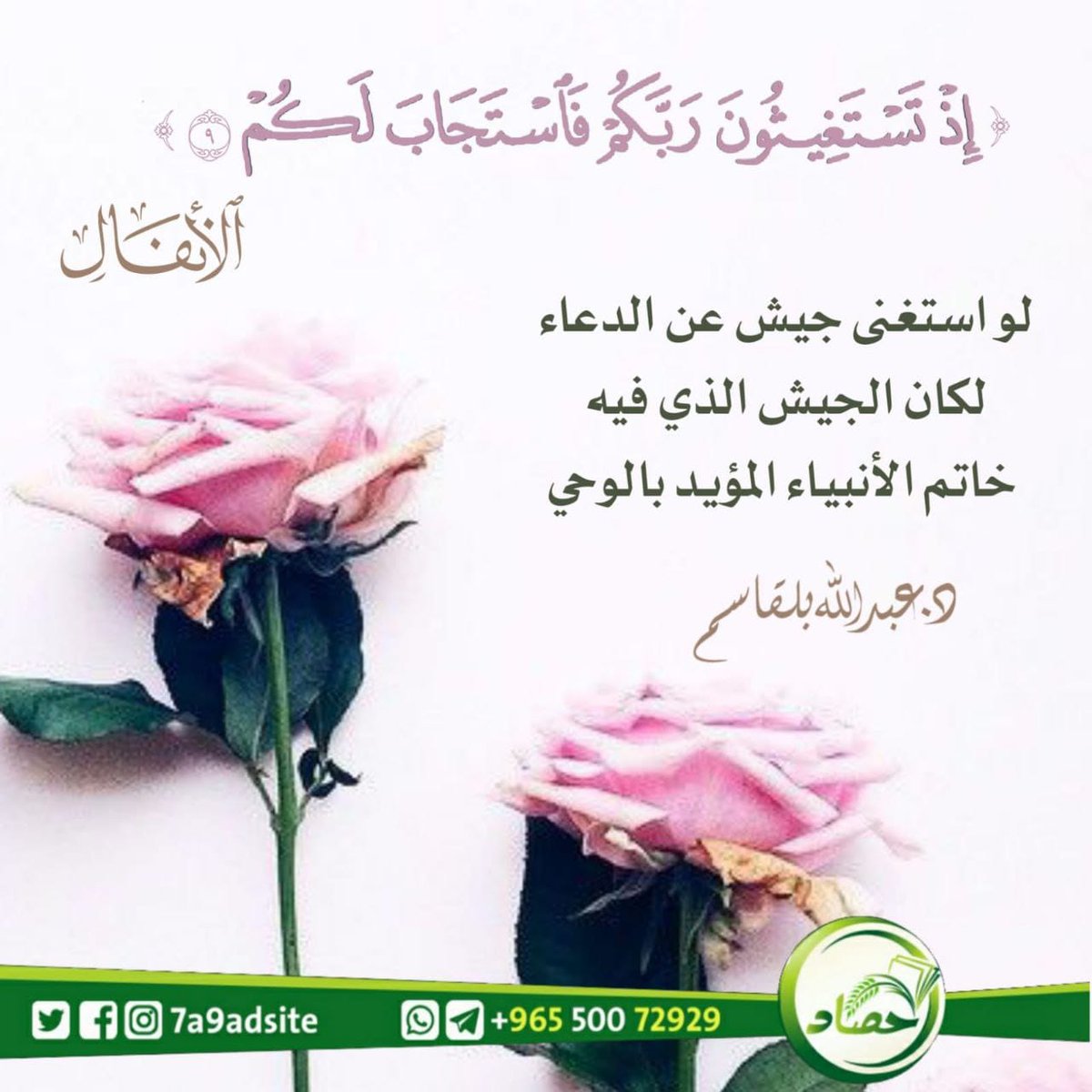 حصاد tweet media