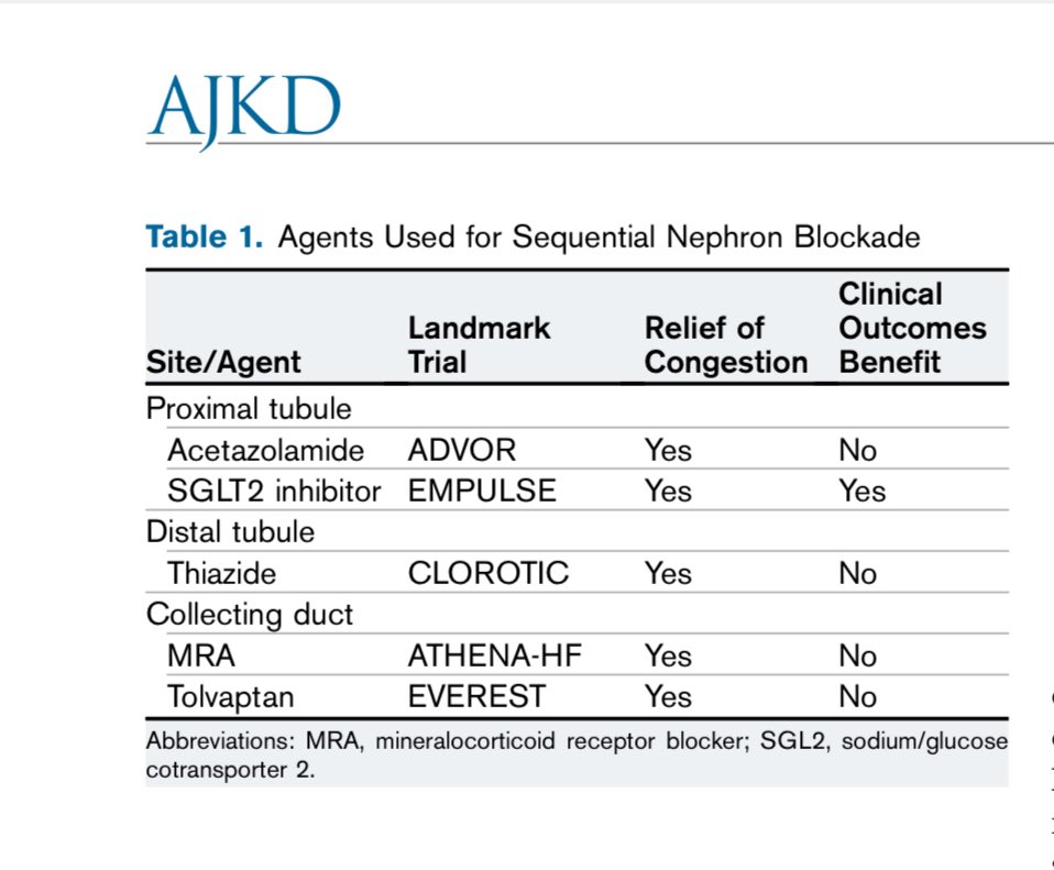 🫘❤️‍🩹Sequential Nephron blockade in diuretic resistance

ajkd.org/action/showPdf…

<a href="/AJKDonline/">AJKD</a>