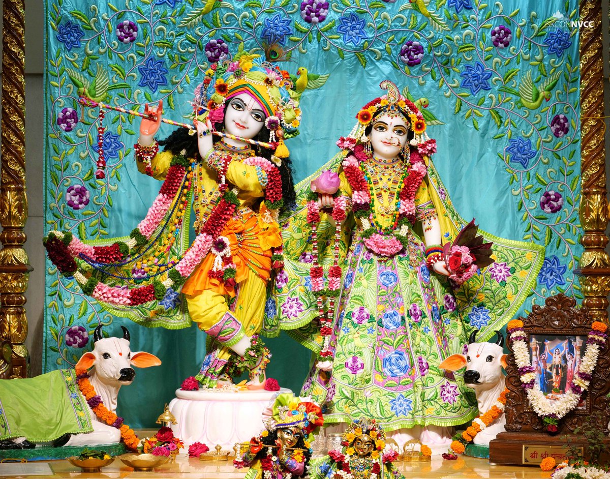 ISKCONPune's tweet photo. 🙏🏽Today's Darshan 📿 🗓10-07-2025🙏
🌷Sri Sri Radhavrindavanchandra🌷
🚩@ISKCONNVCCPune🚩
.
.
#ISKCON #ISKCONNVCC #ISKCONNVCCPune #ISKCONPune
#10thjuly #10thjuly2025 #Thursday #Vrindavan
#Harinaamsankirtan #Radheshyamdas #Radheradhe
#Sankirtan #Kirtan #Mayapur #Prabhupada https://t.co/6Ldfe5YXT3