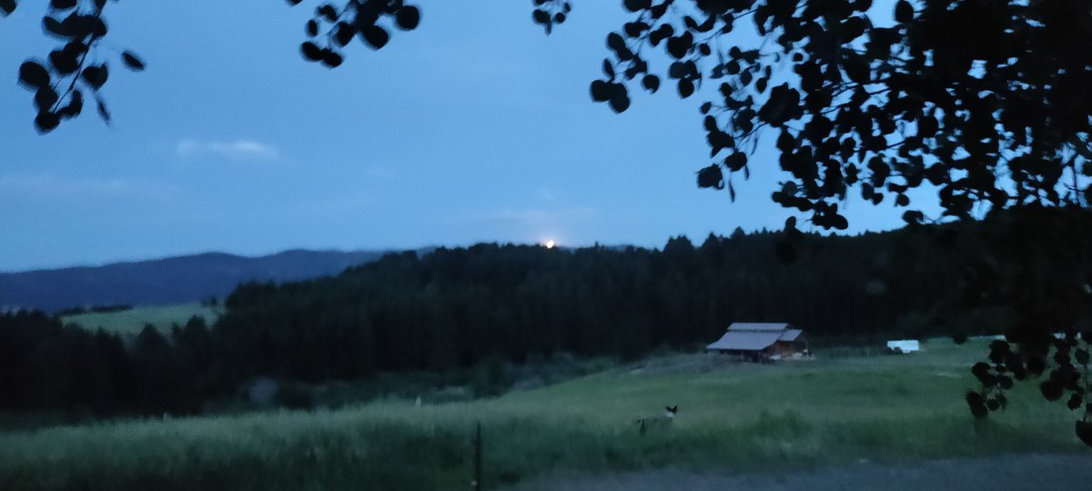 44Bridger's tweet image. Moonrise is sure a long way south.