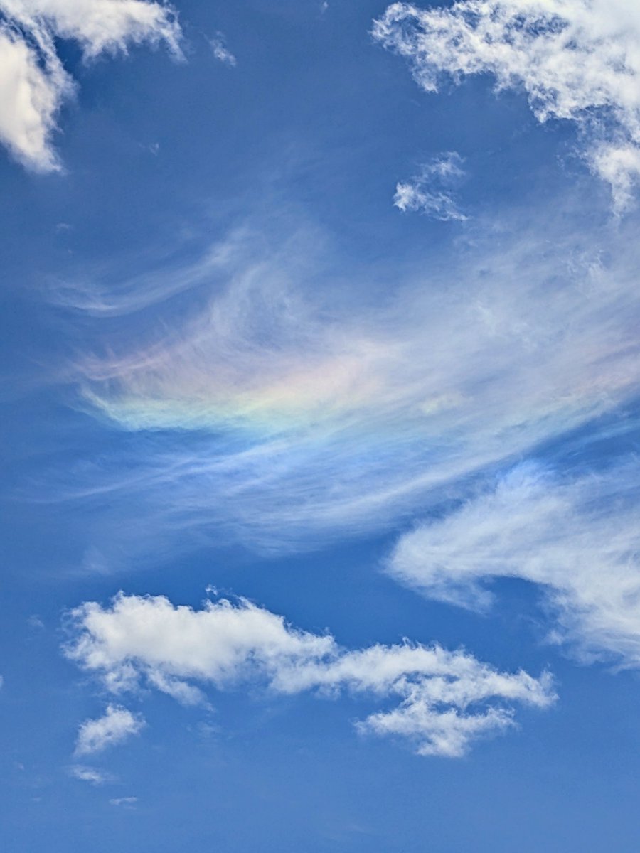 PellePetite's tweet photo. #イマソラ　#空　#虹 なのかな？ https://t.co/RcULha3lIP