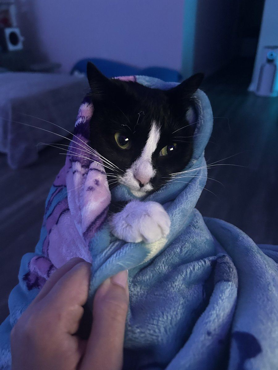 Sleepy gamer just wants a greenie