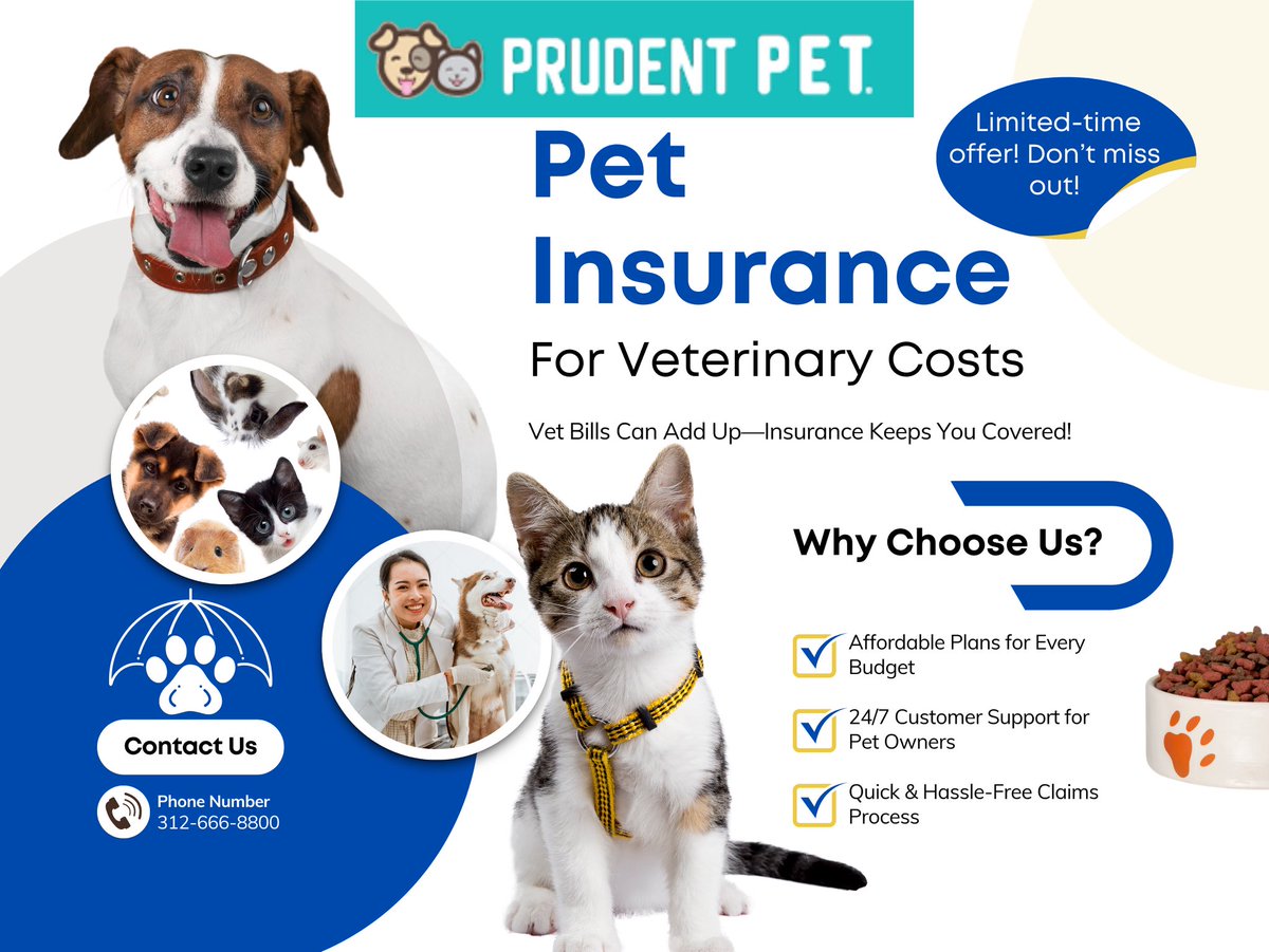 Get affordable car insurance for your pet!🐾

Simply give us a call or come into our office for a free quote