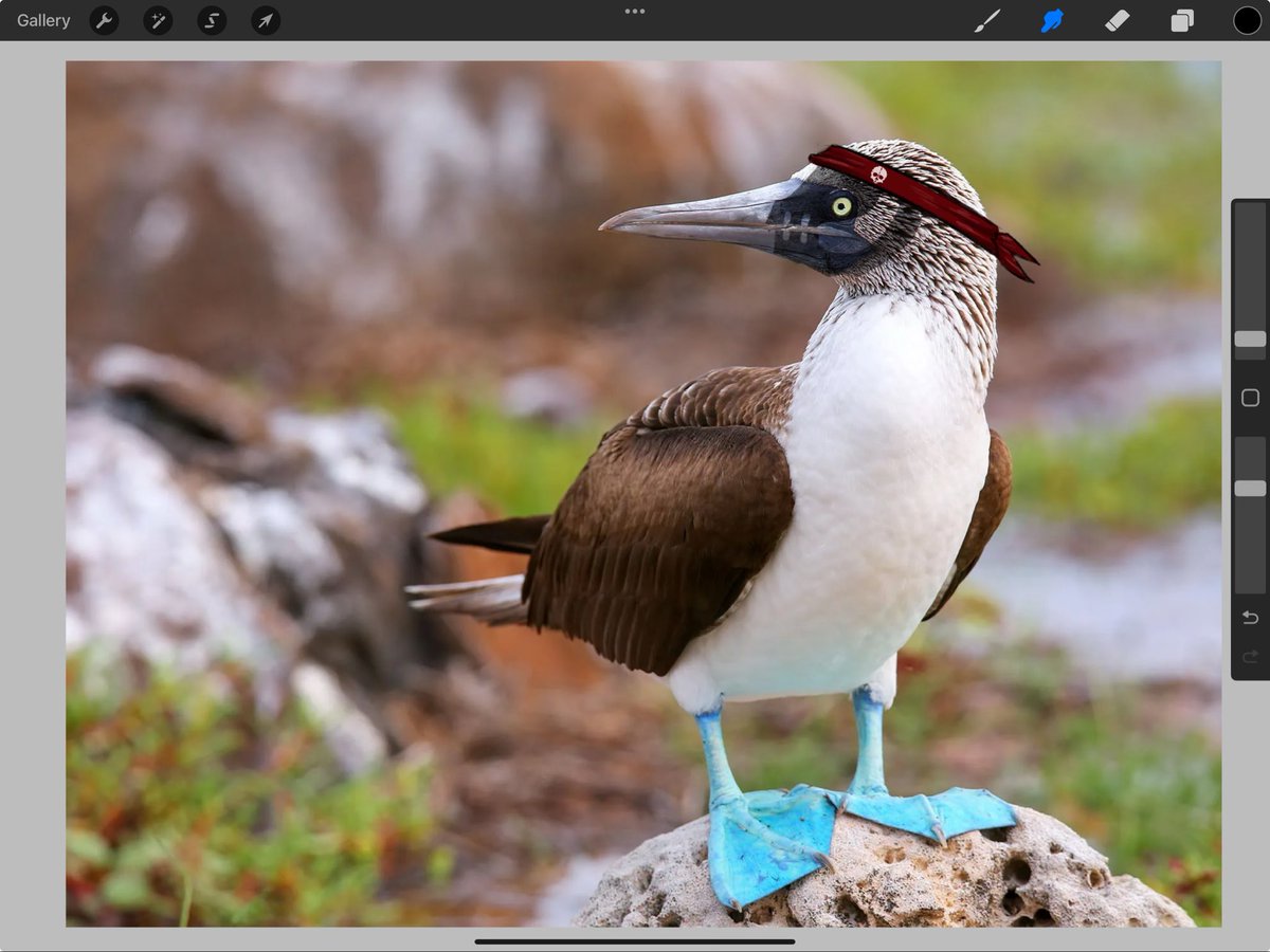 ✨QueenJiru✨MAUL ❤️🖤✨ tweet media