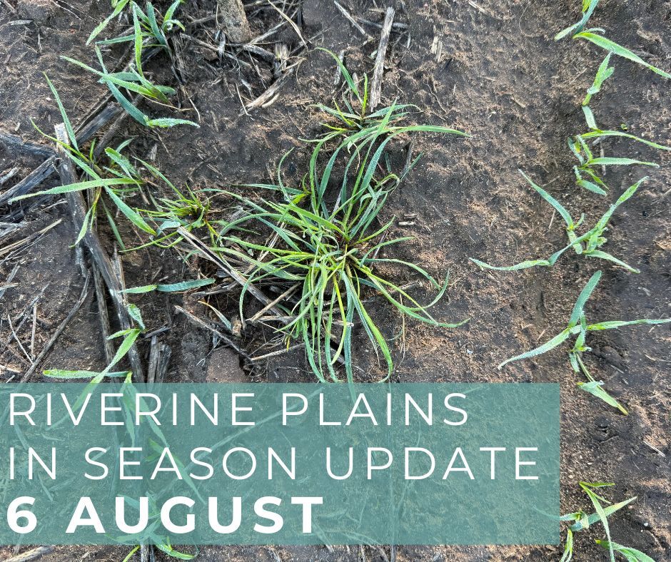 At the In Season Update, we’ll explore the latest strategies for managing weed seed banks &amp; reducing pressure long-term. Why it matters:
✔️ Fewer weeds = lower costs
✔️ Less crop competition for resources
✔️ Reduced resistance risk
Register now:hubs.la/Q03wB0Rz0