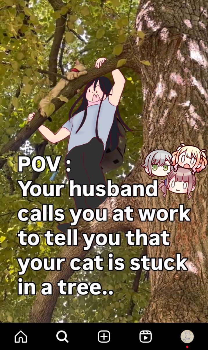 PolyneedDaily's tweet image. unfortunate side effect of marrying an idiot (π₯)