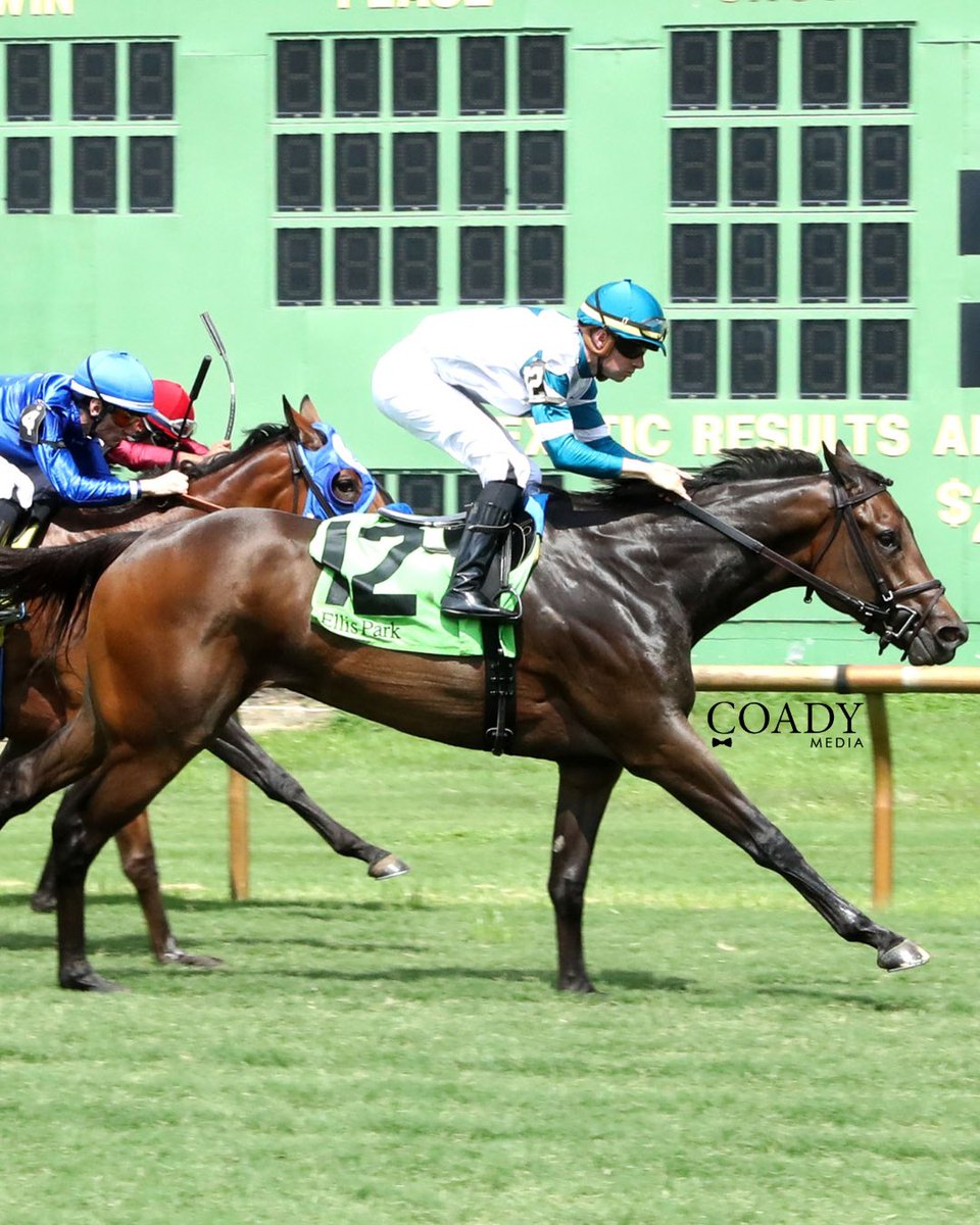 coadymediaUSA's tweet photo. MAE TOWN (Mo Town @coolmorestud @coolmoreamerica) earns her third consecutive victory with a win in the Pea Patch Stakes at @EllisParkRacing!

📸 Official photos only available at: https://t.co/XOAcYcxI3y

#horseracing #horseracingphotography #horseracingphotos @CaveBrookFarm https://t.co/XGcuI3NMGB
