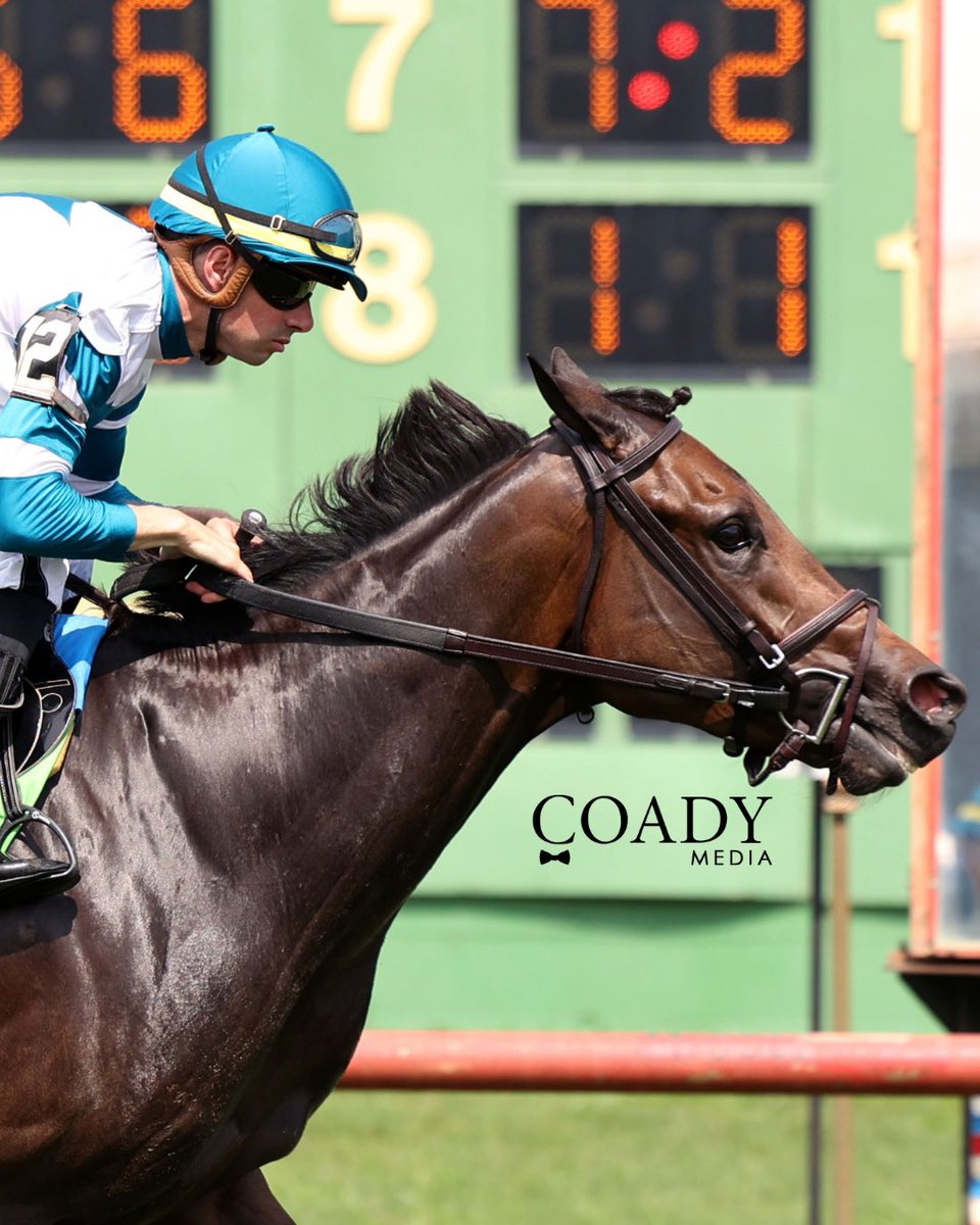 coadymediaUSA's tweet photo. MAE TOWN (Mo Town @coolmorestud @coolmoreamerica) earns her third consecutive victory with a win in the Pea Patch Stakes at @EllisParkRacing!

📸 Official photos only available at: https://t.co/XOAcYcxI3y

#horseracing #horseracingphotography #horseracingphotos @CaveBrookFarm https://t.co/XGcuI3NMGB