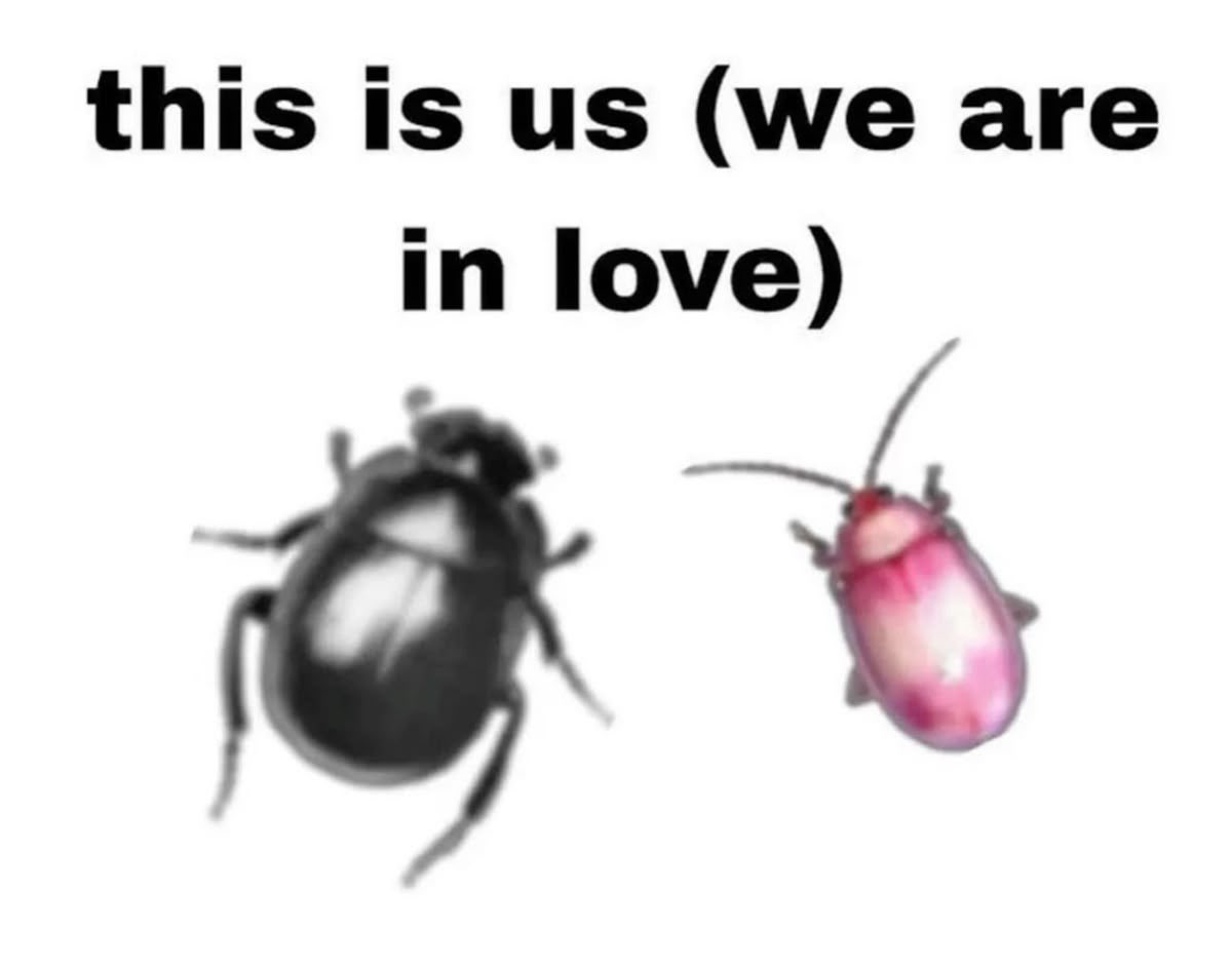 ♡ (@astralbaes) on Twitter photo 