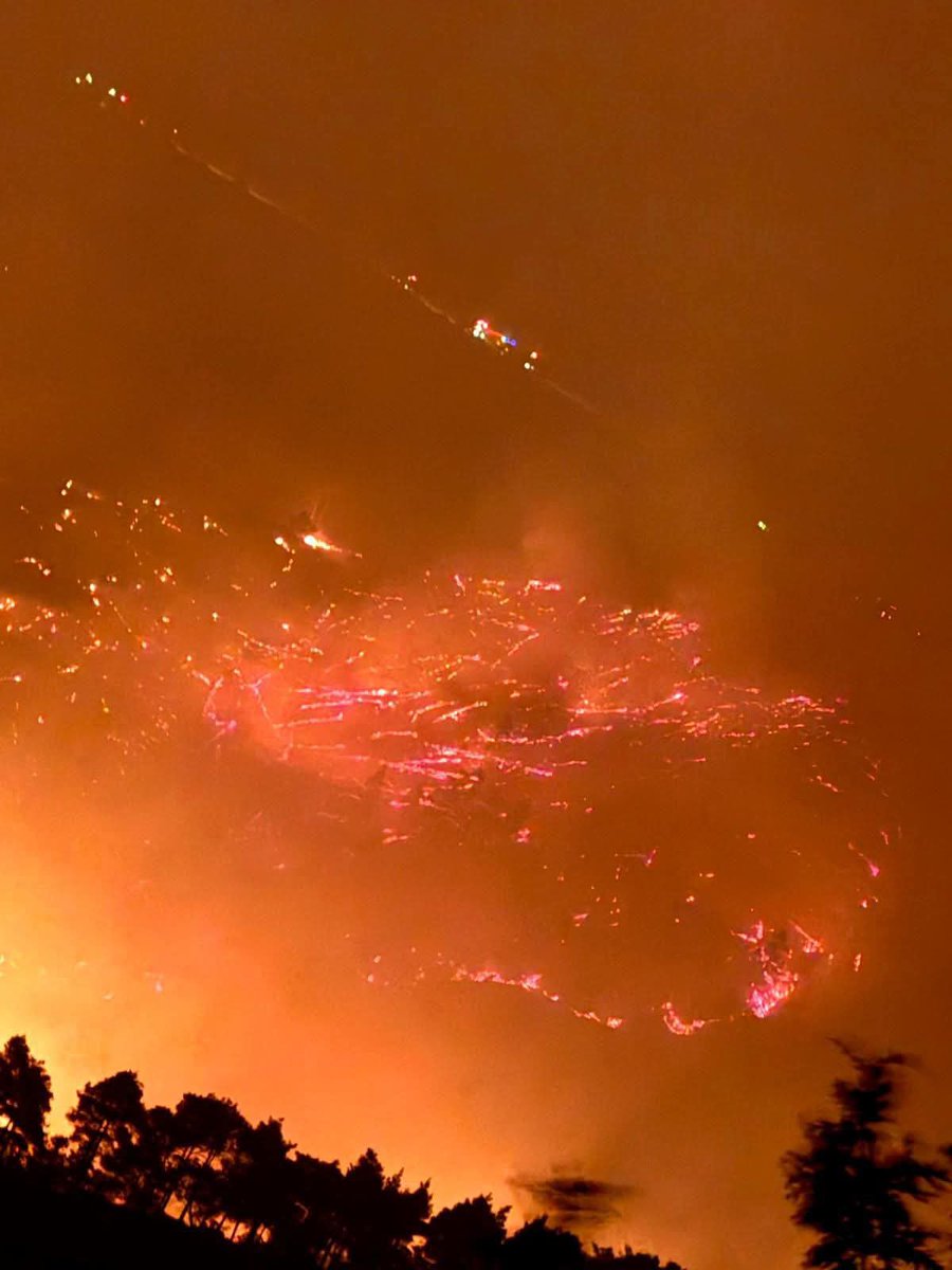 The situation is extremely bad in the forests of Latakia.
The fires are raging more and more… Syria is losing more than 6% of its environment.
The fires are deliberately set, and it has become very clear.
Remnants of the Assad regime are responsible for these fires.

The Syrian