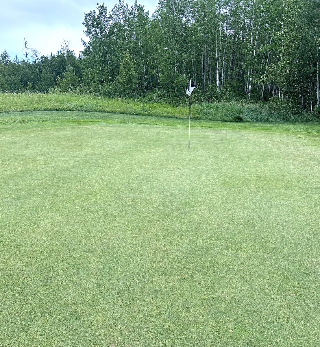 A good round <a href="/NorthernBearG/">Northern Bear Golf</a> today. The course is in fantastic shape - with a few too many green-side bunkers to suit my game!
Great rates to play here through playgolfcanada.com
No fee to use.
