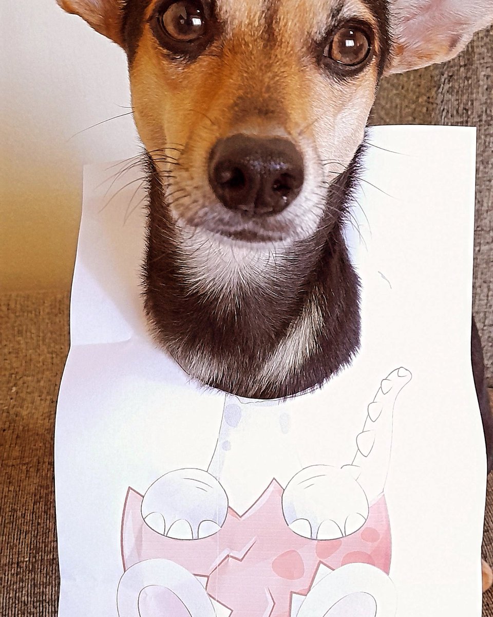 sininho_charmo's tweet photo. Pedi para a IA criar minha versão Labubu😁 #Labubu #pet https://t.co/ikOsIy146p
