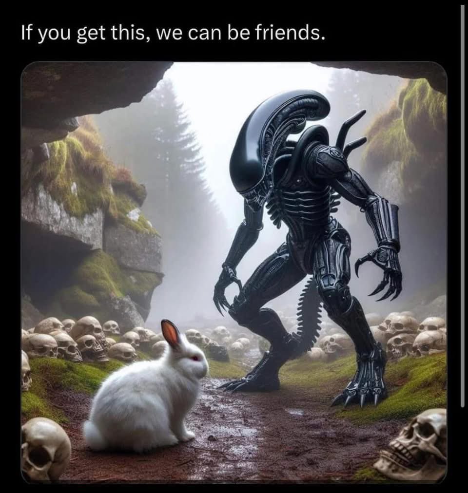 Looks like the Rabbit of Caerbannog found a worthy opponent... let's hope Predator packed some holy hand grenades. Our money is still on little Bunny Foofoo.