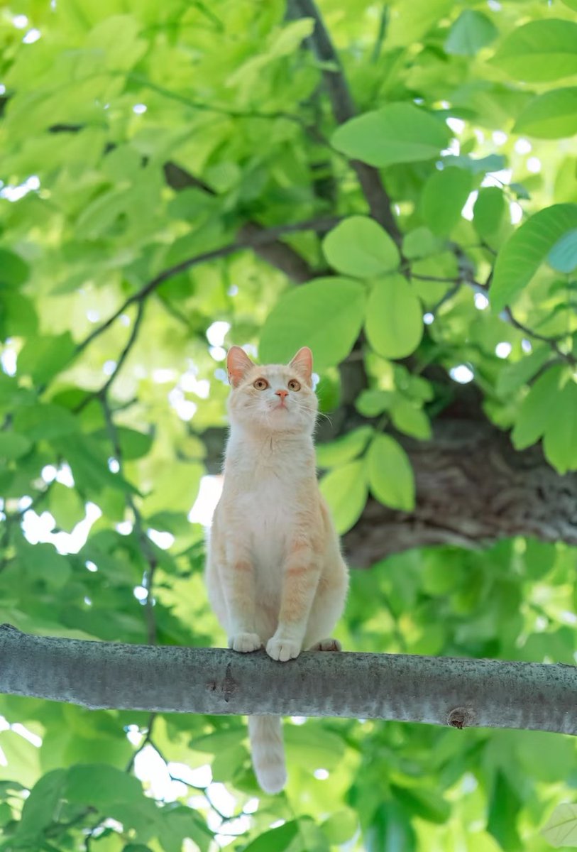 A beautiful summer, beautiful memories