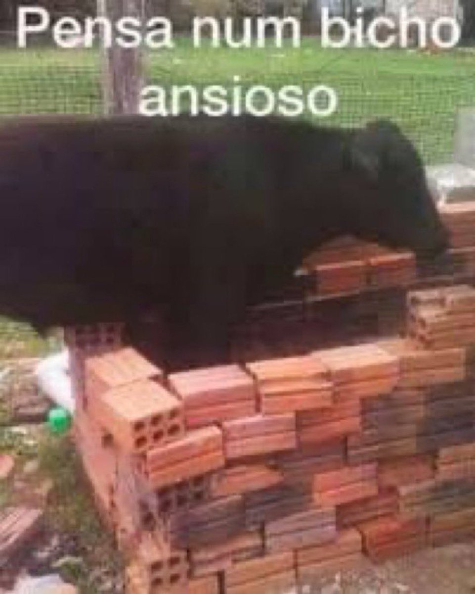 Meio q ja arrumei minha mala do rior