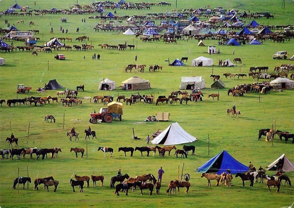 Баяр ёслол болохоор 🇲🇳хамгийн санадагдаа. Эх орноо хайрлах сэтгэлийг эх орноосоо холдож байж гүн гүнзгий мэдэрдэг юм бн. 
Эх орноо хайрлана гэдэг бол монгол хүн монгол хүндээ хүнлэг байх, байгалиа хайрлах, эх орноо цэвэр цэмцгэр авч явах гэсэн эгэл зүйлсийг хэлдэг юм билээ.