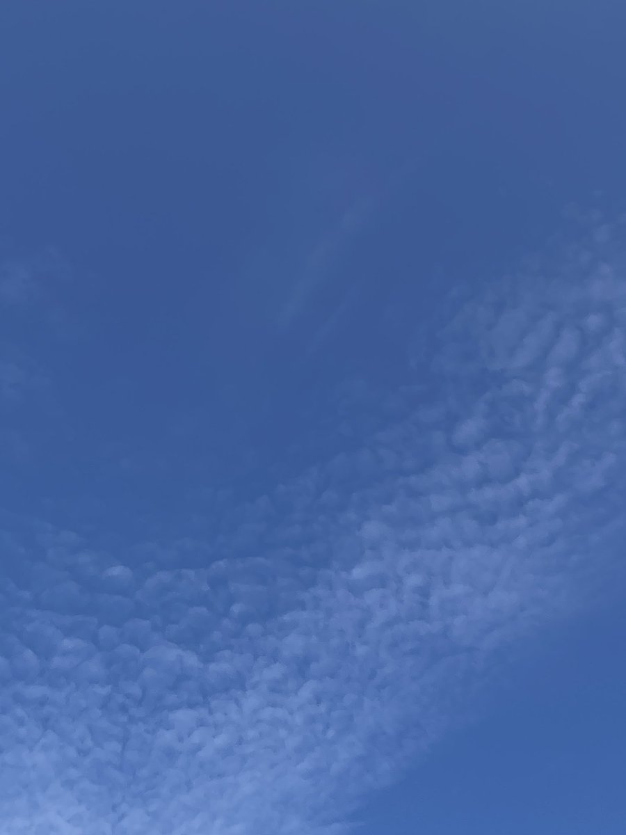 おはようございます☀
7月10日、蝉も鳴き始めて朝から暑い🌞
しかし、まだ梅雨は明けていないらしいし
まだまだ騒騒しい蝉の鳴き声ではないのも確かだね…きっとこれからだよね
夏は嫌いじゃないけれど毎日30℃を越えてもう外が異常なほど暑過ぎるんだよね🥵

この厳しい環境の中、頑張って生きよう✊