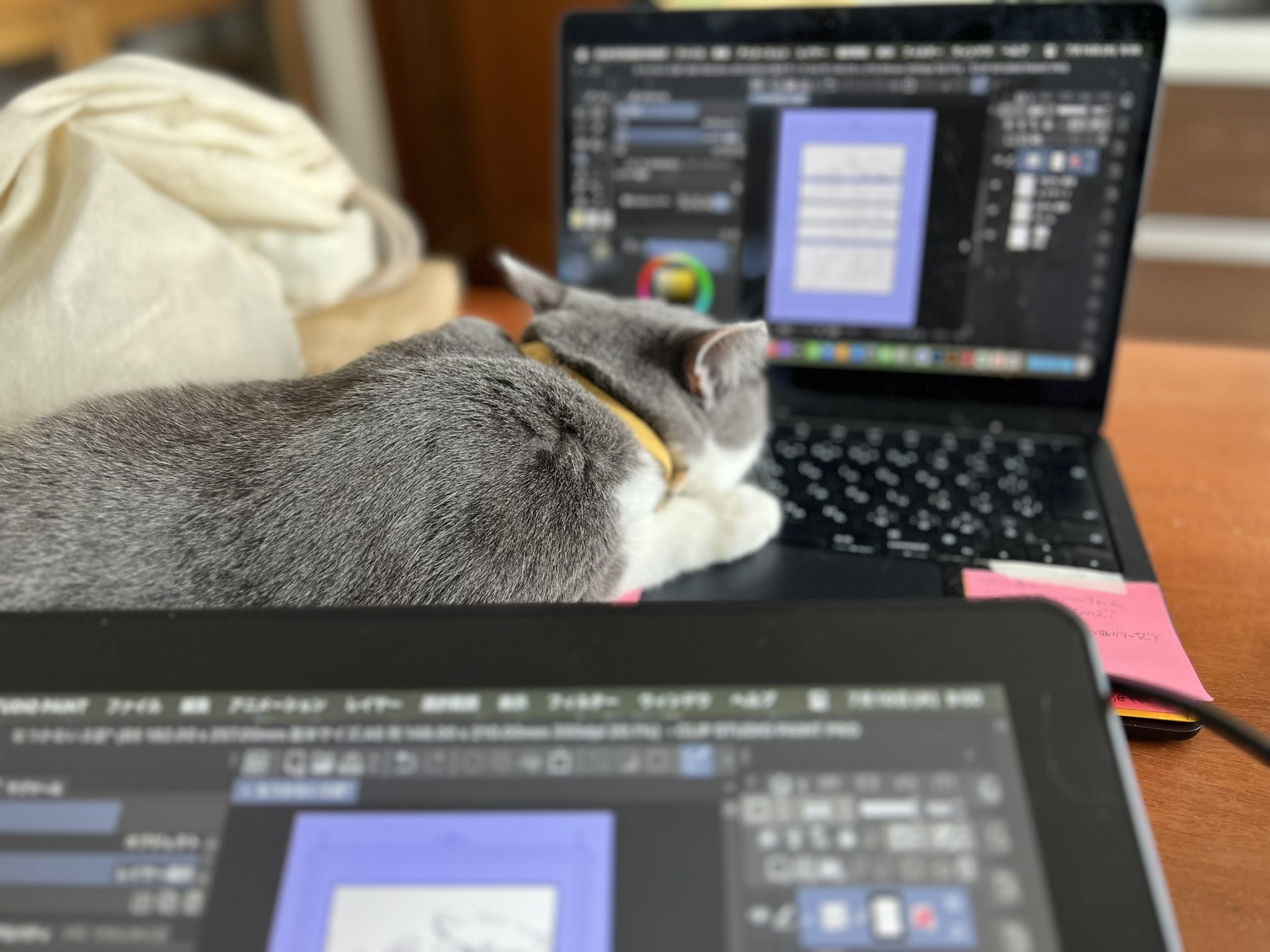 せこなお on X: 