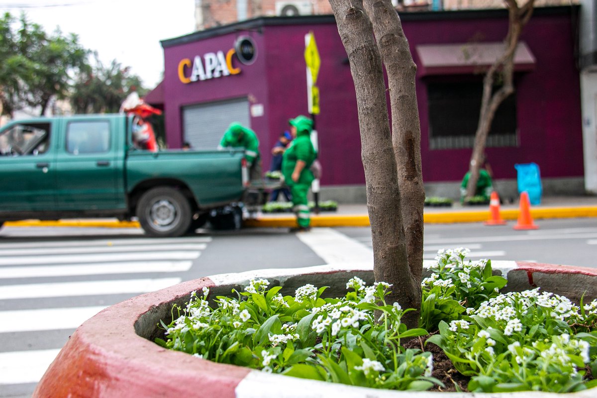 LinceconMalca's tweet photo. Supervisamos la limpieza integral de la avenida José Leal, donde retiramos desechos, maleza y residuos acumulados para que nuestras calles estén más limpias y seguras. 🚛✨
Cada calle que cuidamos transforma la vida de quienes la recorren. 💙 https://t.co/YrDzJvJW7f
