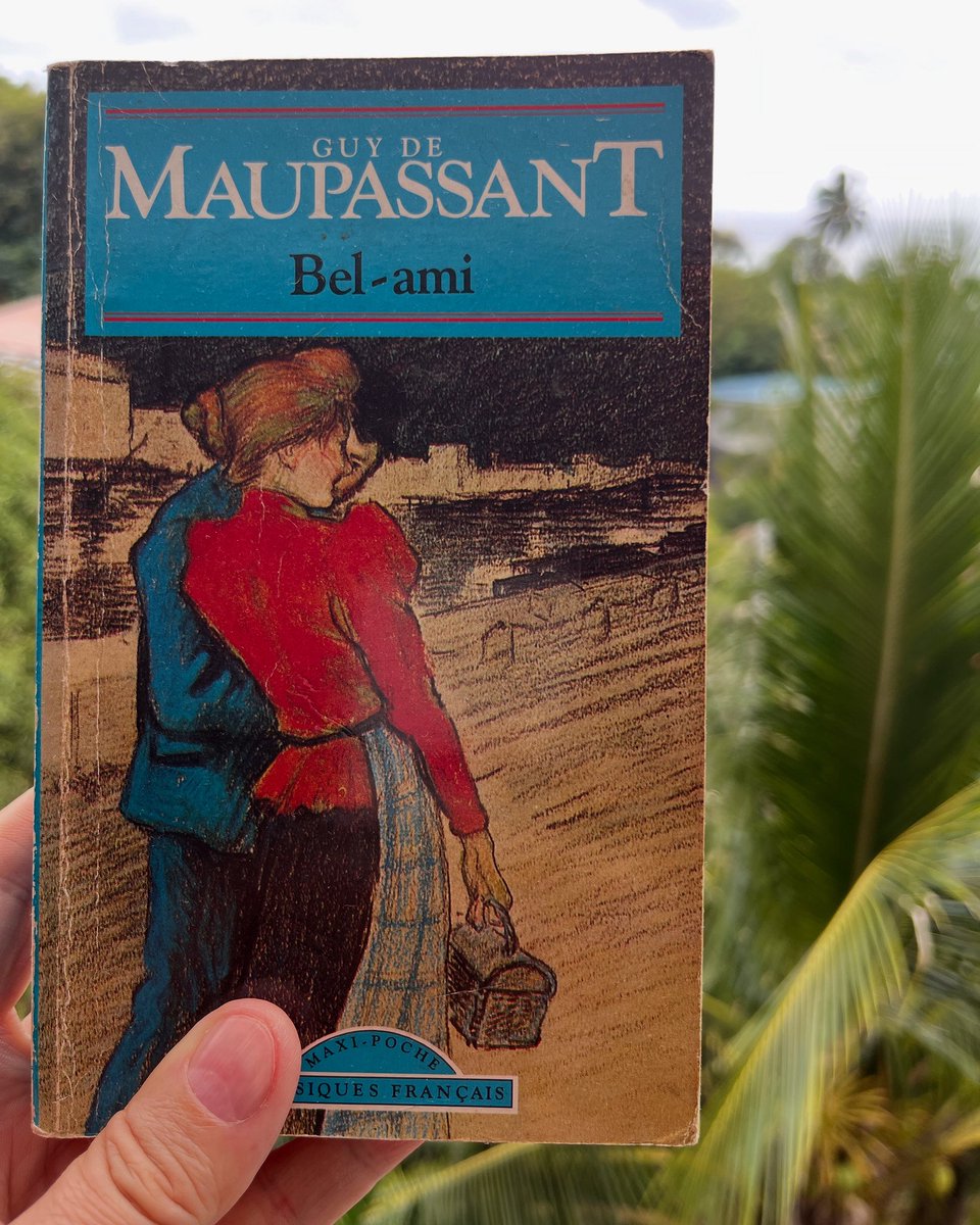 Un roman, d’une réelle modernité d’écriture, qui raconte l’ambition et l’ascension sociales au moyen de la séduction et du charme (c’est l’une de ses maîtresses qui le surnomme Bel Ami) de Georges Duroy, fils d’une famille pauvre, qui réussit à intégrer le journalisme à Paris.