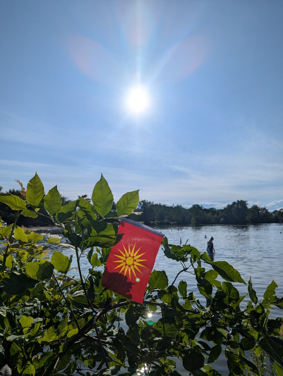 Bill Nicholov tweet media