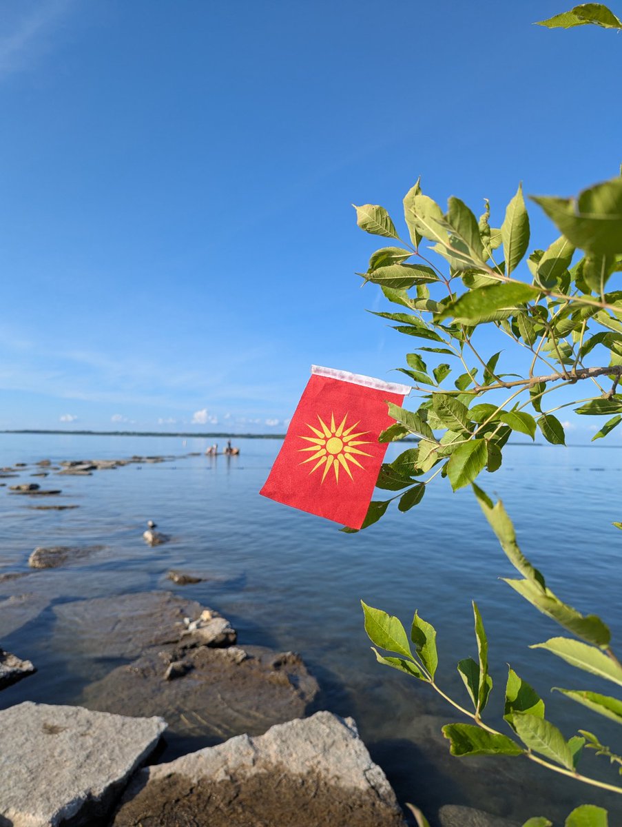 Bill Nicholov tweet media