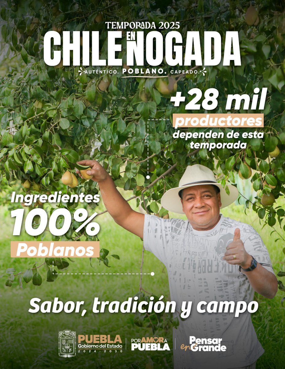 🌶️🥂🇲🇽¡Estamos en la temporada más sabrosa del año! 

Con sabores e ingredientes 100% locales, mostramos al mundo el orgullo, la tradición y el campo que dan vida al Chile en Nogada

👩‍🌾👨‍🌾¡Este es el trabajo de más de 28 mil productores poblanos, que dejará una derrama económica