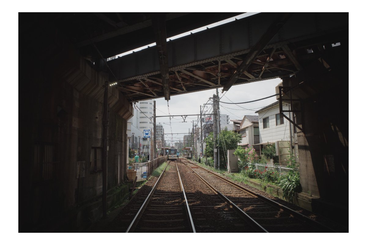ph_classica's tweet image. 散歩するのも一苦労な暑さ…

#都市風景