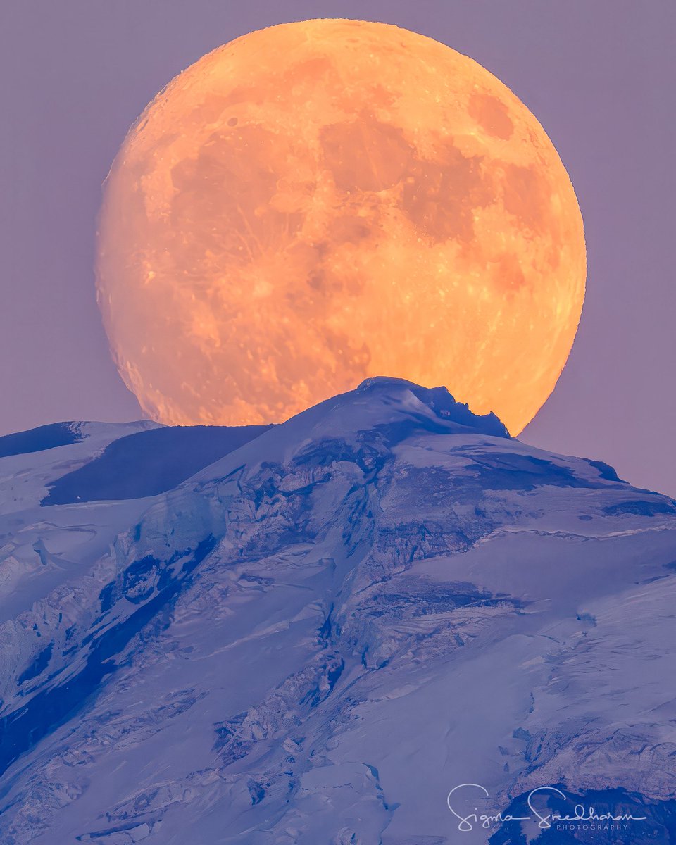 sigmas's tweet image. Hello Moon! 97% illuminated #buckmoon rising behind #tahoma last night. #pnw #mountrainier #myfujifilmlegacy
Shot on #fujigfx100s #fujigf500mm (and cropped in post)
F7.1, 1/30 sec, ISO 100