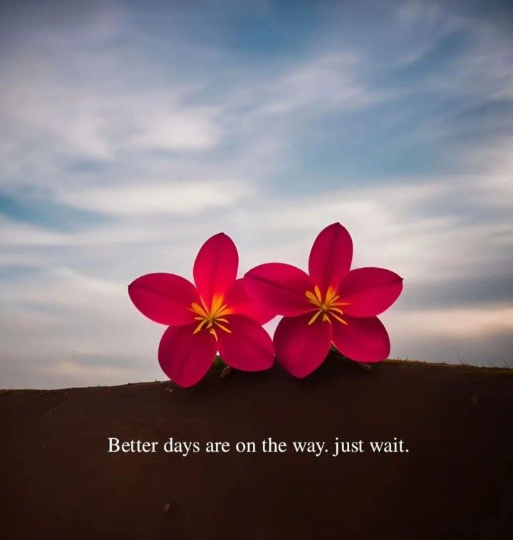 POSITIVITY (@positivitysaid) on Twitter photo 