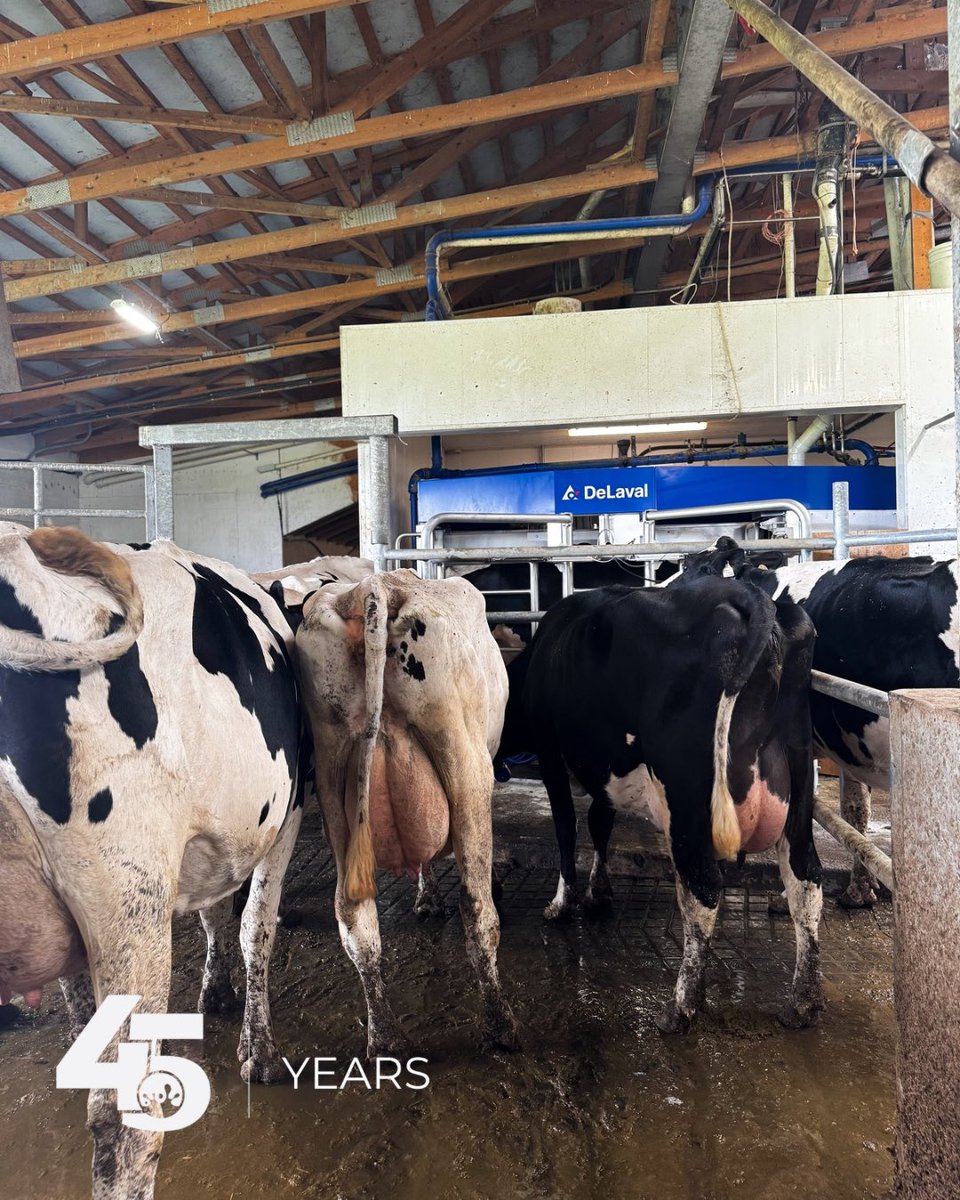 It was a busy day at Riems Farm in Dunnville as our install team tackled another upgrade — swapping out one of their VMS Classics for a brand new <a href="/DeLaval/">DeLaval</a> VMS V300!⁠
⁠
Once the switch was complete, the herd didn’t waste any time — anxiously lining up to be milked in the new