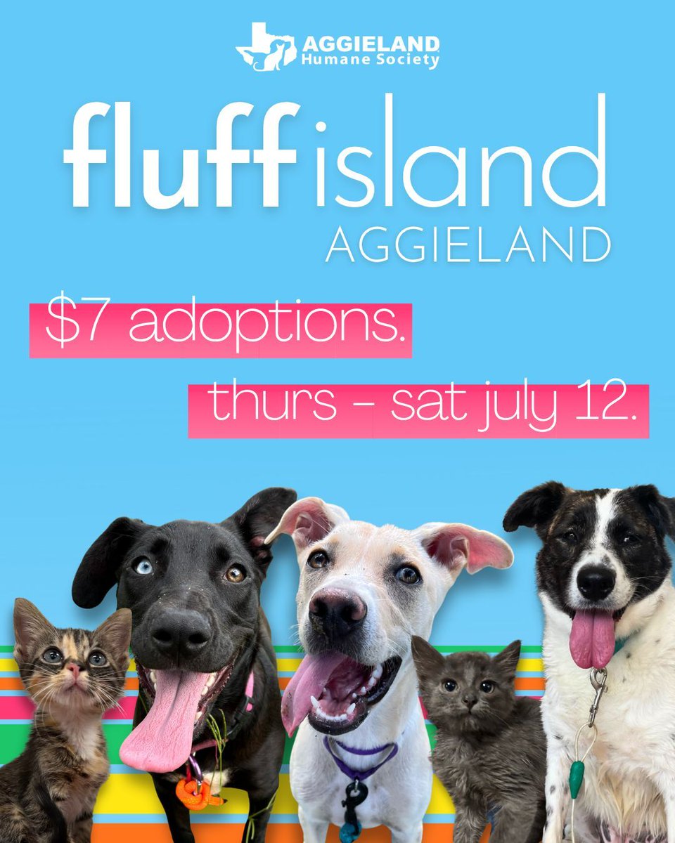 AggielandHumane's tweet image. ✨ It’s giving sparks, it’s giving snuggles, it’s giving… $7 adoptions. 

For 3 days only, Aggieland Humane is Casa Paw-more!

Whether you want a puppy, kitten, dog, or cat...we’ve got your type on paper. 😉 

$7 adoptions start NOW: aggielandhumane.org/adopt-a-pet/