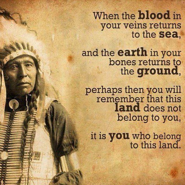nativefamily_'s tweet photo. https://t.co/6HQQIfSlHU