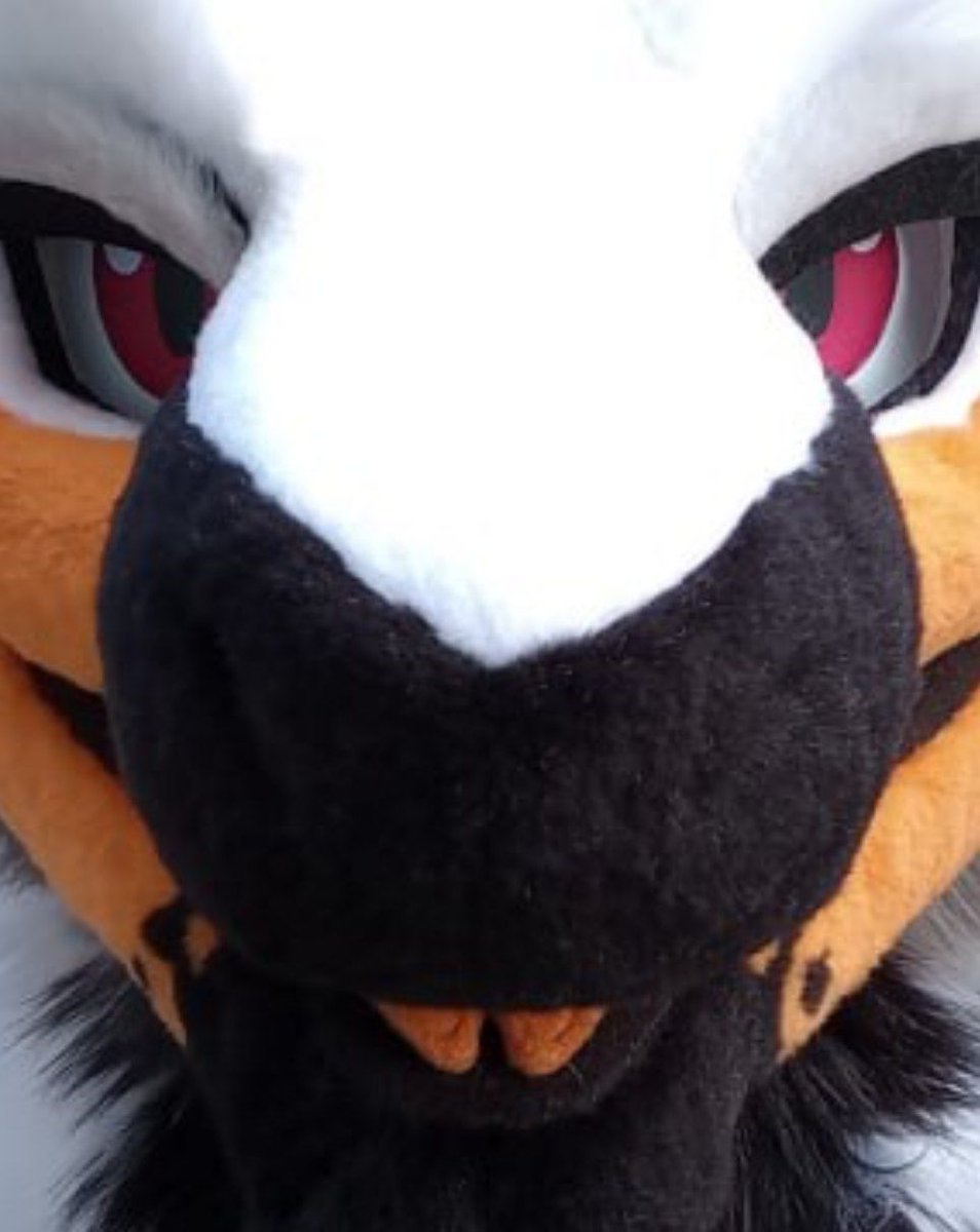 Disappointing my parents one merp at a time tweet media