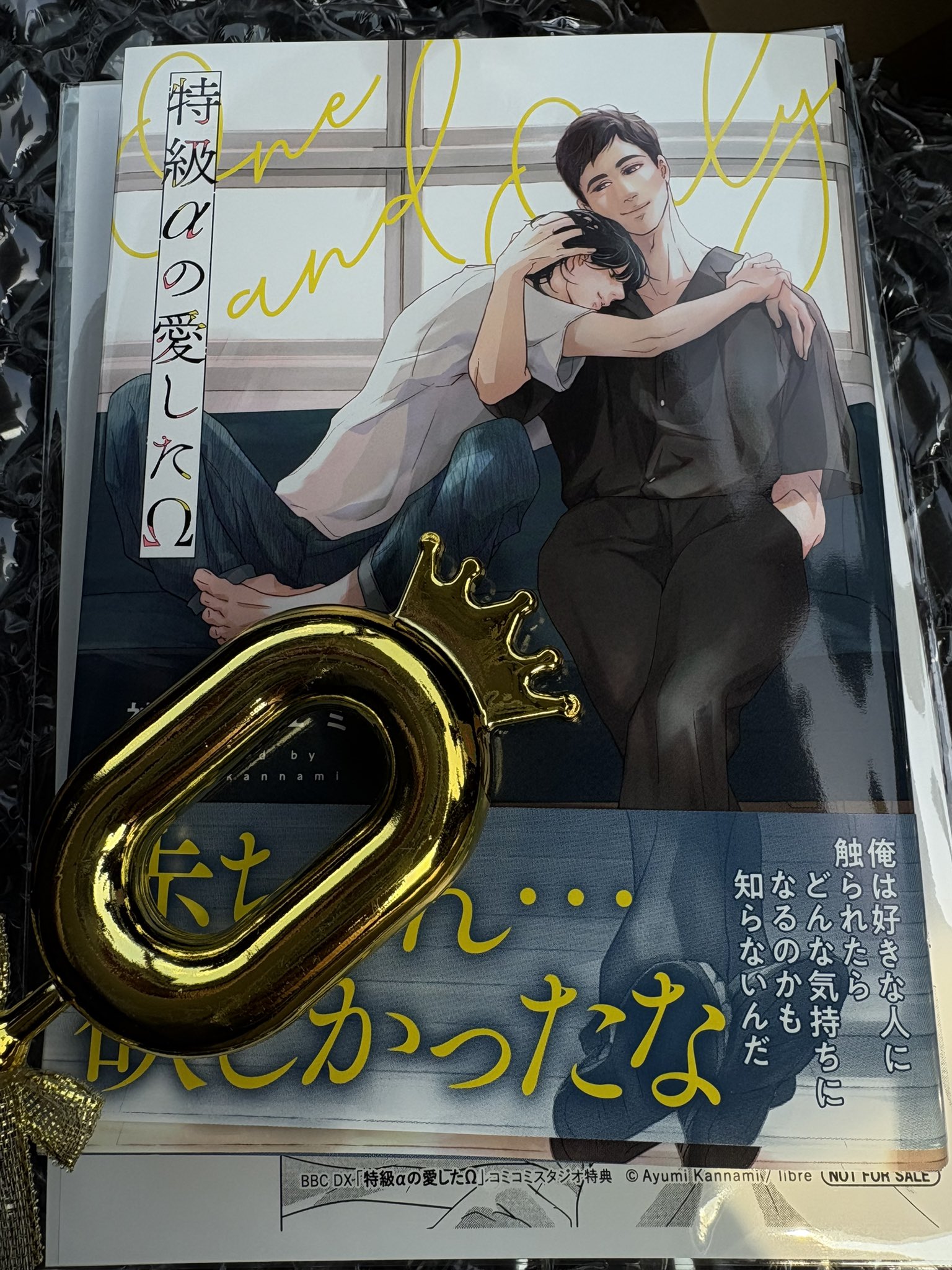 夢i小i説iオiーiダiー ￤ my様 M.i80（みえお） on X: 