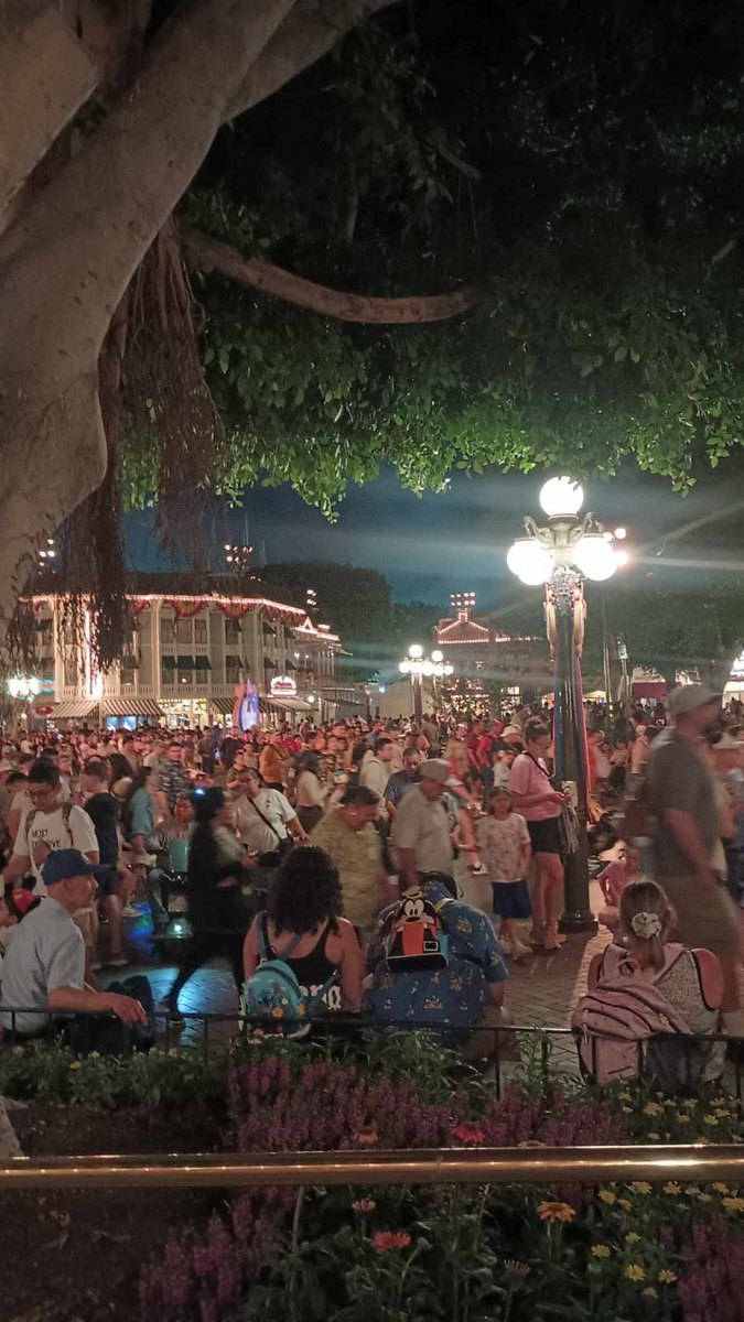 Disfrutando vacaciones