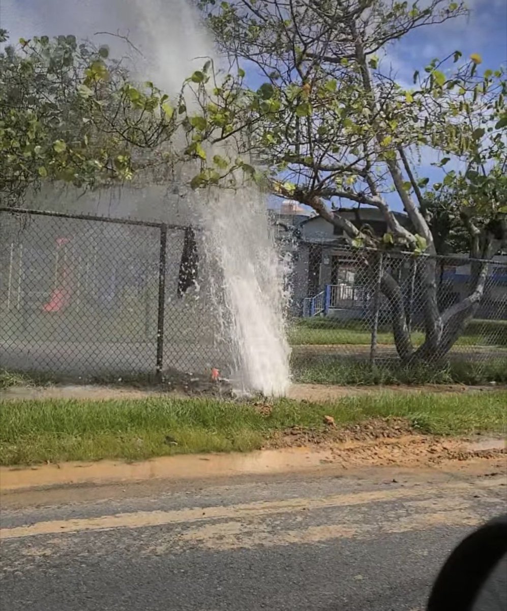 Ricardo Chino Rey tweet media