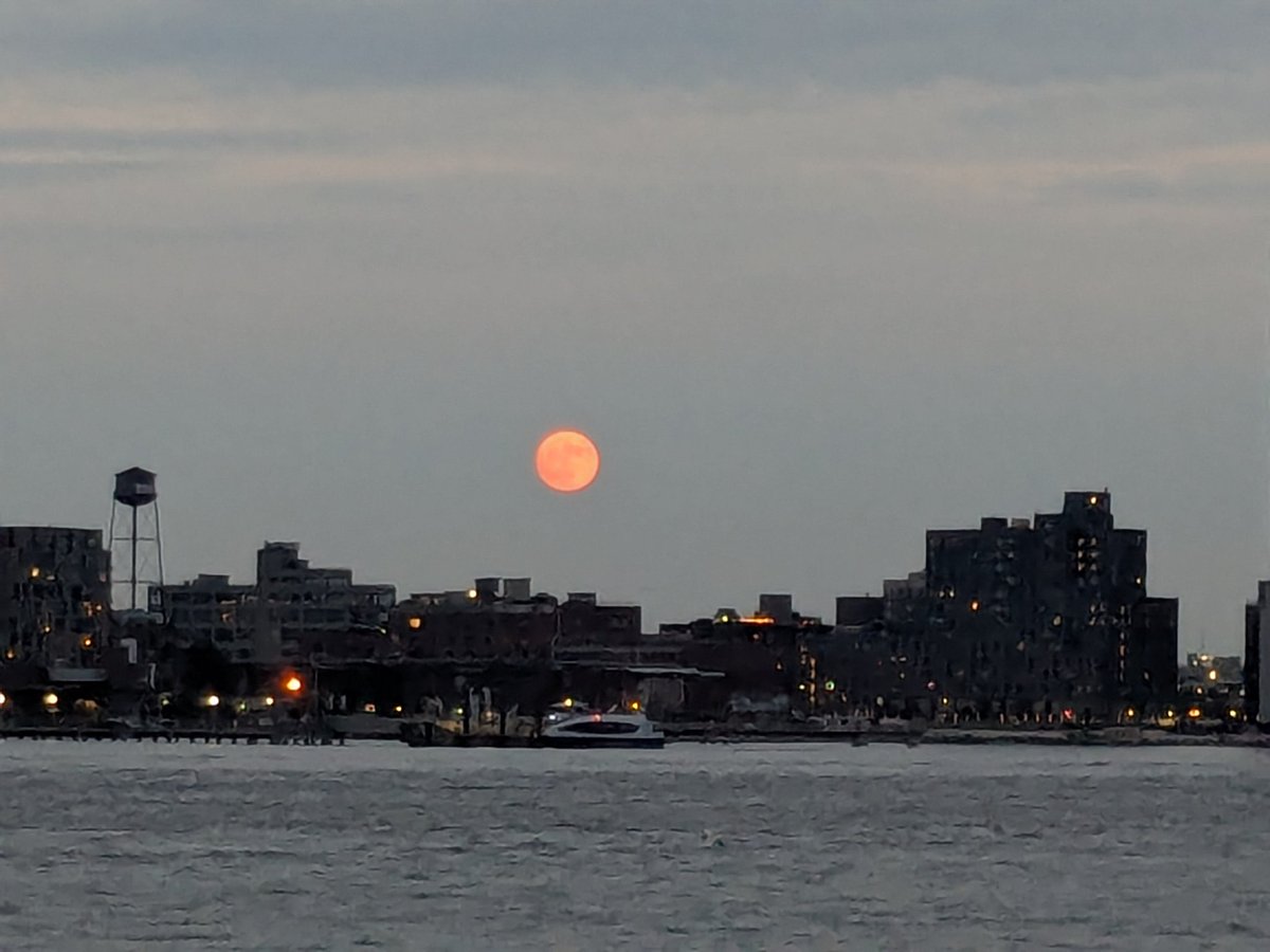 elethereal's tweet image. Now