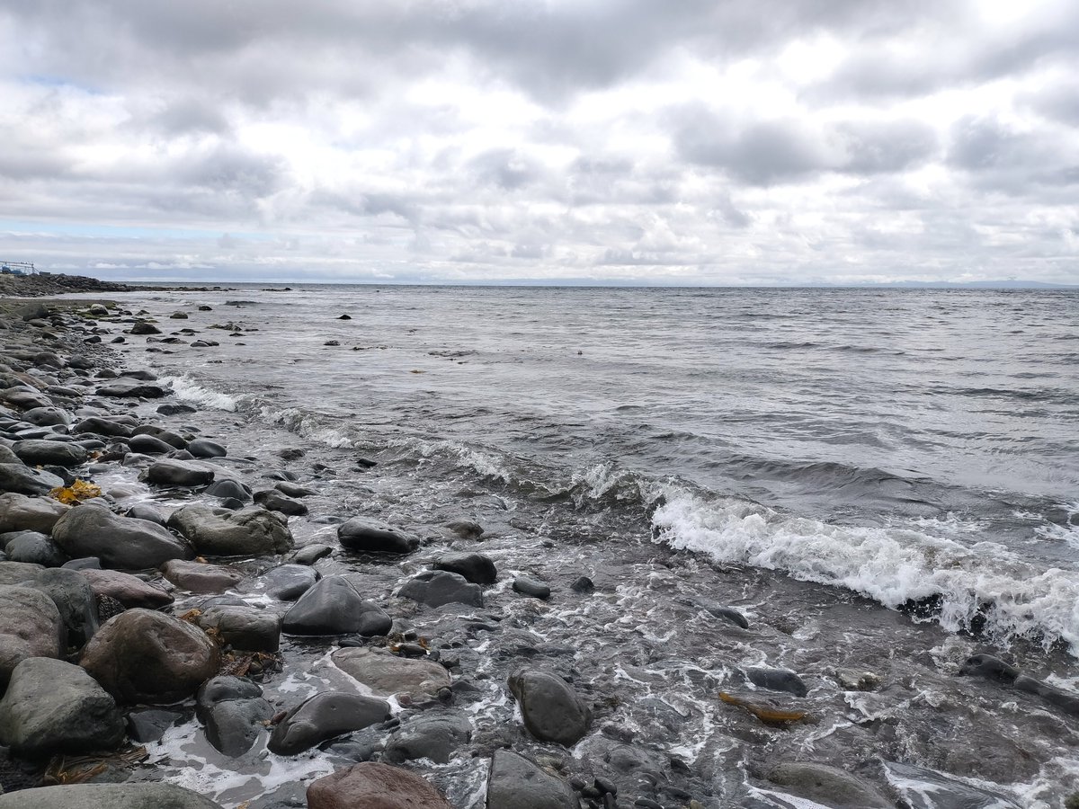 rusafieldhouse's tweet image. 今朝は波が高く、風も北よりで強いです。
涼しい一日になりそうです。
浜辺には、ほんのり昆布の香りが漂ってきましたね🌱
Waves are high this morning and winds are little strong .
There is a slight scent of kelp on the beach!
#知床 #羅臼 #ルサ
#国立公園 #Hokkaido
#Rausu #rusa
